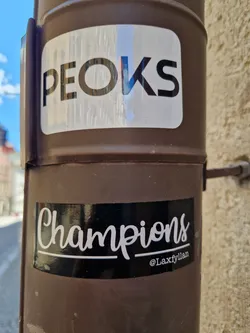 A black sticker with the word "Champions" written in a stylized script font.  A smaller, separate sticker above it says "PEOKS". Both are affixed to a brown metal pole.