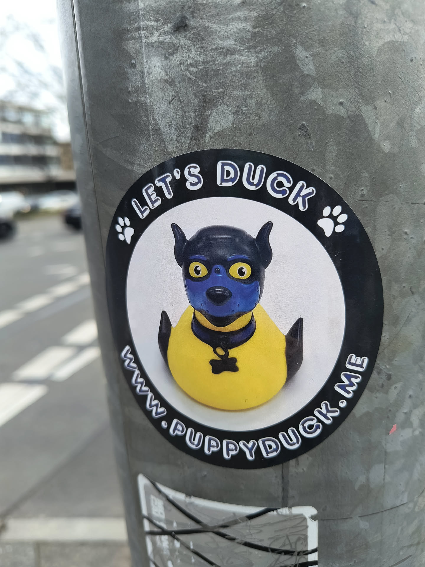 A round sticker with a blue rubber duck with black ears and a yellow body. The duck is wearing a black collar with a bone-shaped pendant. The text on the sticker says "Let's Duck" at the top and "www.puppyduck.me" at the bottom.  Paw prints are on either side of the text at the top. 