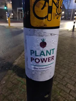 A sticker promoting plant-based diets and animal rights. It features a beetroot illustration and the website www.animalrights.nl