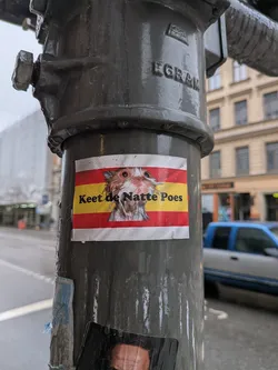 The sticker features a central image of a wet, disheveled cat with wide, orange eyes, set against a background resembling the Spanish flag, composed of two red horizontal stripes at the top and bottom, and a wider yellow stripe in the middle. Black text is overlaid on the yellow stripe, partially obscuring the cat's body. The sticker shows signs of wear, including some peeling and water droplets, indicating it is exposed to the elements on a dark grey, wet pole.