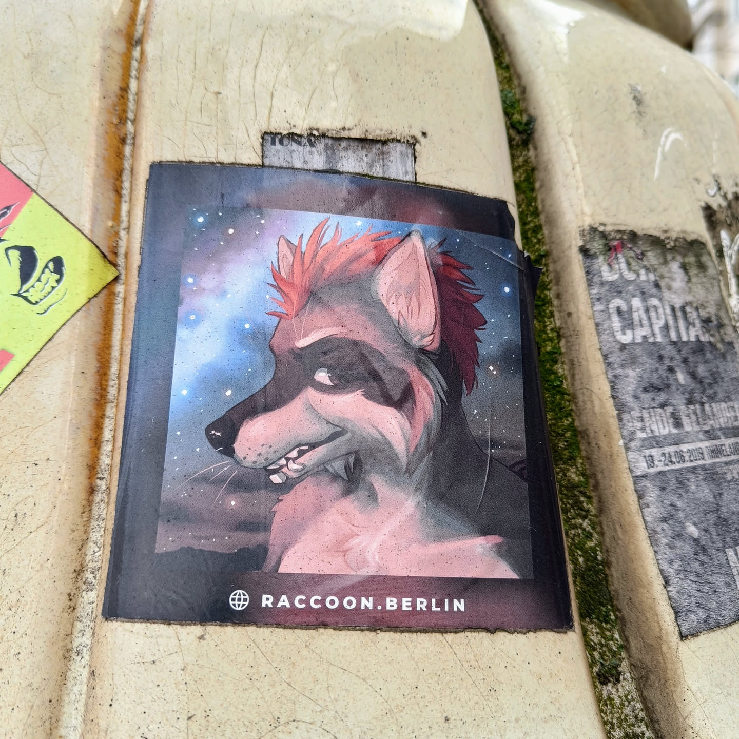 Sticker featuring a stylized raccoon with a mohawk against a space background. The raccoon has a serious expression and appears to be a furry character. The sticker has the text "RACCOON.BERLIN" at the bottom.