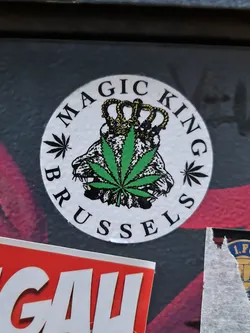 Round sticker featuring a cannabis leaf centered between two lion heads wearing a crown. The words 'Magic King Brussels' are written around the design.