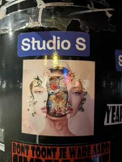 Street sticker The sticker shows a collage of two women's faces with flowers. The head of the central figure is replaced with a vase filled with flowers. It is placed on a black surface with other stickers around it.