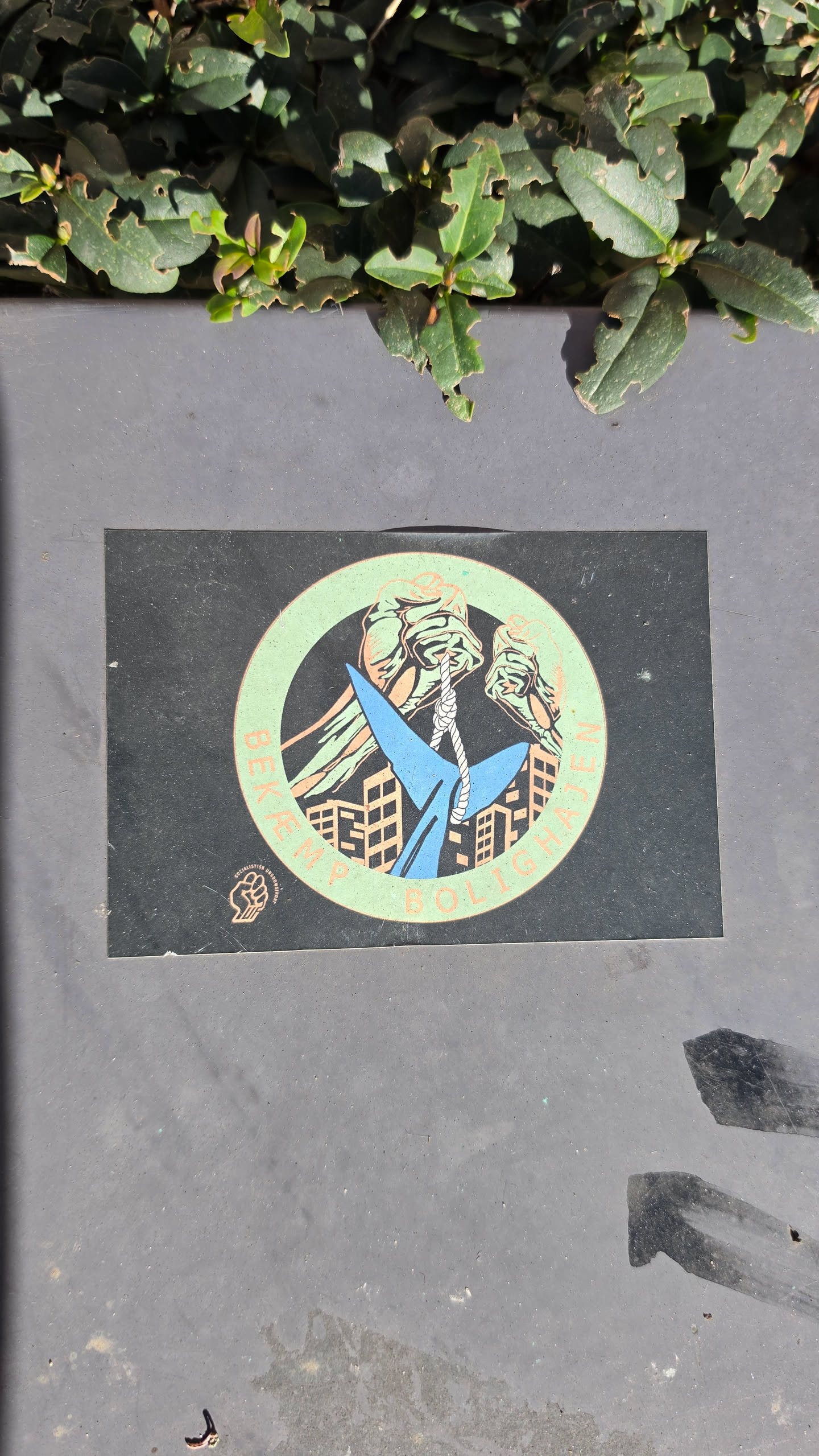 A rectangular black sticker featuring a circular emblem at its center. Inside the mint-green ring, hands are depicted hoisting a blue shark by its tail with a rope, suspended above silhouettes of urban apartment blocks. The text 'BEKÆMP BOLIGHAJEN' curves around the lower part of the ring in light orange lettering. In the bottom-left corner sits a small Socialistisk Ungdomsfront (SUF) logo showing a clenched fist.