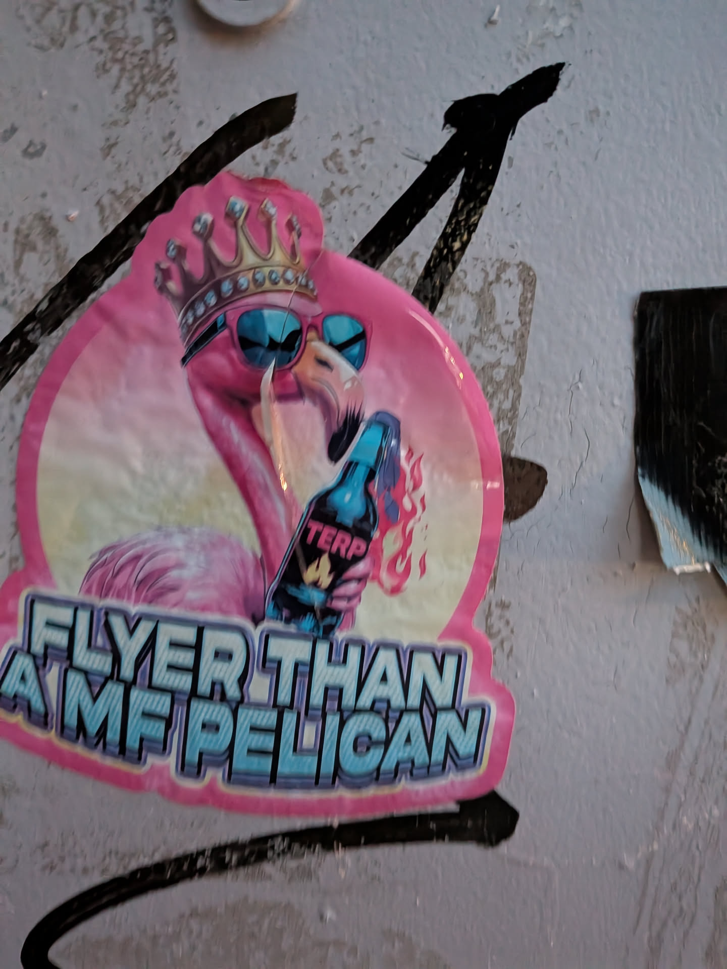 The sticker features a vibrant pink flamingo wearing a golden crown adorned with blue gems and stylish blue sunglasses. The flamingo is holding a blue bottle with a label that reads 'TERP' and has flames emanating from it. The background of the flamingo is a soft gradient of pink and yellow. Below the flamingo, bold, stylized text in blue and white reads 'FLYER THAN AMF PELICAN'. The sticker has a glossy finish and appears to be die-cut with a pink border.