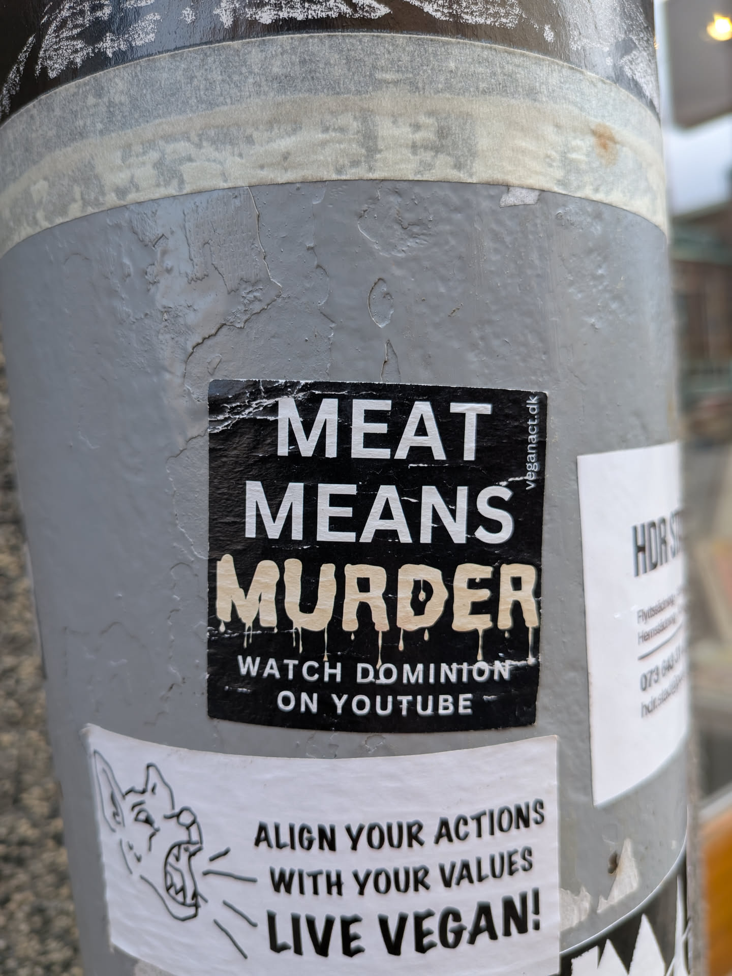 The sticker is a rectangular, black background with bold white and light brown text. The top two lines read 'MEAT MEANS' in white capital letters. Below this, 'MURDER' is prominently displayed in a larger, light brown font with a dripping effect, suggesting blood or a thick liquid. Underneath, in smaller white text, it instructs 'WATCH DOMINION ON YOUTUBE'. A small, vertically oriented text 'veganact.dk' is visible on the right edge. The sticker appears slightly worn and creased, indicating it's a physical adhesive label on a textured grey pole.