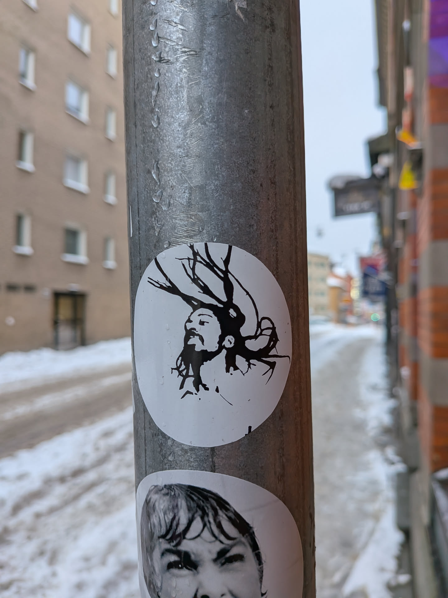 The sticker is circular with a white background, featuring a minimalist black illustration of a man's head in profile, facing upwards and slightly to the left. The man has a prominent beard, and his hair transforms into intricate, branching antlers or tree limbs that extend upwards and backwards. The illustration is stark black on white, creating a strong contrast and a somewhat ethereal or mythical appearance. Water droplets are visible on the surface of the sticker, indicating it's exposed to the elements.