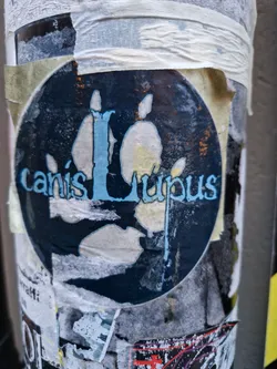 A worn sticker featuring the words "Canis Lupus" and a stylized wolf paw print. The sticker is dark blue with light blue and white accents.  It appears to be affixed to a pole and shows some signs of wear and tear.