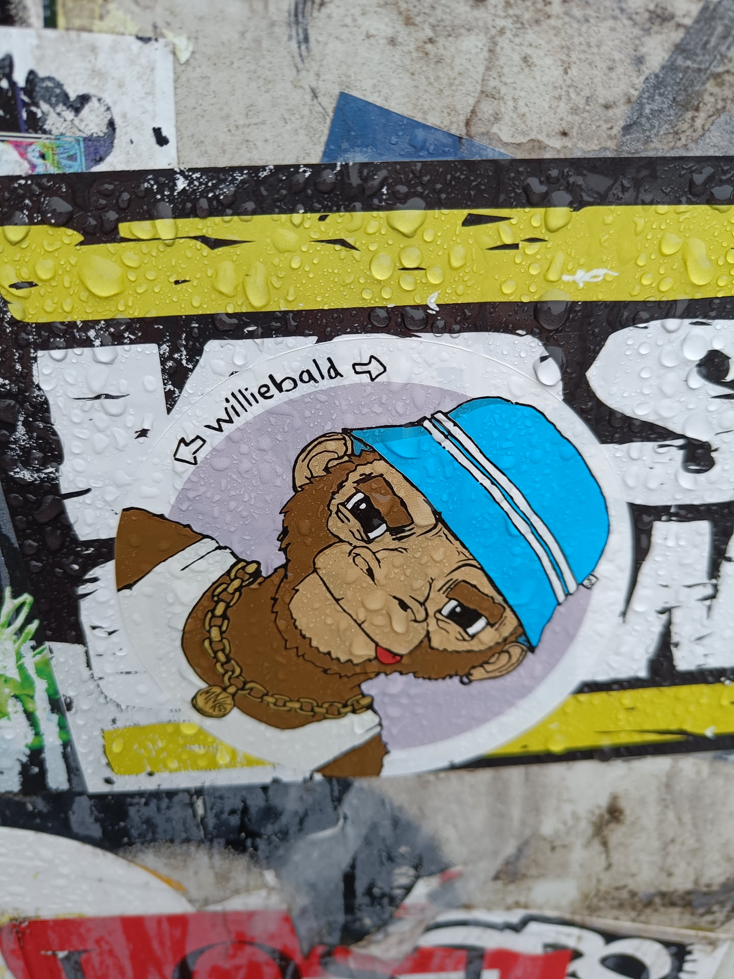 A sticker featuring an illustration of a monkey wearing a blue hat and a gold chain. The style is cartoonish and playful. The sticker appears to be placed outdoors and is wet from rain.
