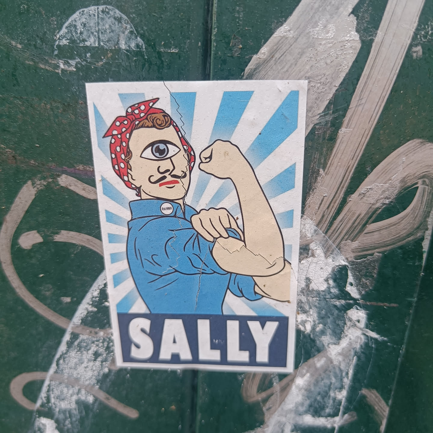 A sticker featuring a pop art-style illustration of a woman with one eye, reminiscent of Rosie the Riveter, flexing her bicep. The text 'SALLY' is prominently displayed at the bottom.