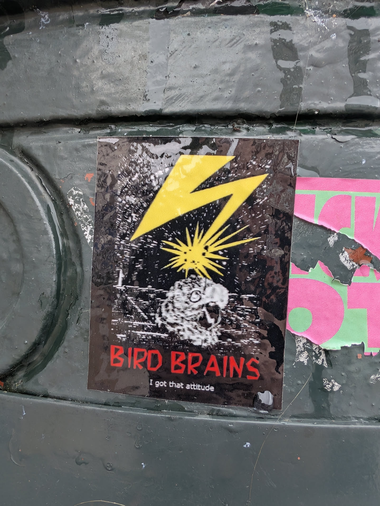 The sticker features a black background with a yellow lightning bolt at the top left. Below the lightning bolt is a stylized representation of a bird's head with a bursting sun-like element behind it, rendered in white and grey. Prominently displayed in red, bold lettering are the words 'BIRD BRAINS', with the tagline 'i got that attitude' in smaller white text underneath. The sticker appears to be slightly worn or has some texture on its surface, suggesting it's been adhered for some time.