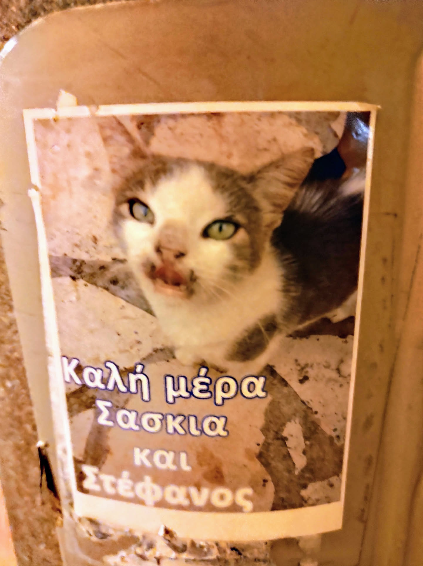 A sticker featuring a cute cat. The text on the sticker says "Have a nice day Sashoklia and Stefanos" in Greek.