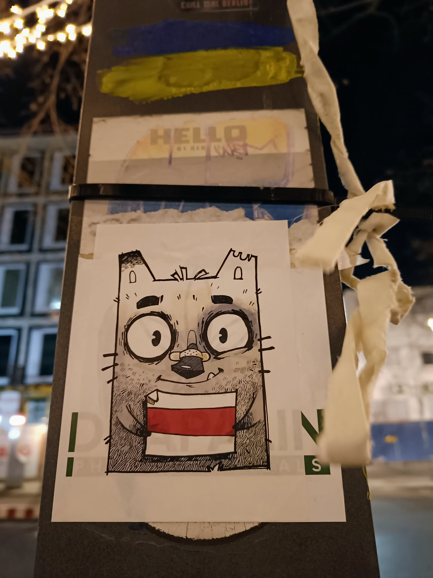 A sticker featuring a hand-drawn illustration of a cartoon cat holding a piece of paper with the Polish flag on it. The cat has large eyes and a friendly expression. The sticker is attached to a pole outdoors.