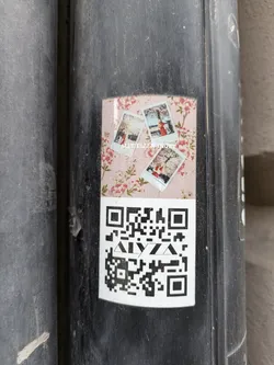 A sticker featuring three Polaroid-style photos of a person in different outfits and poses, set against a pink floral background. Below the images is a QR code. The text 'ALLYZA' is visible in the center of the QR code.