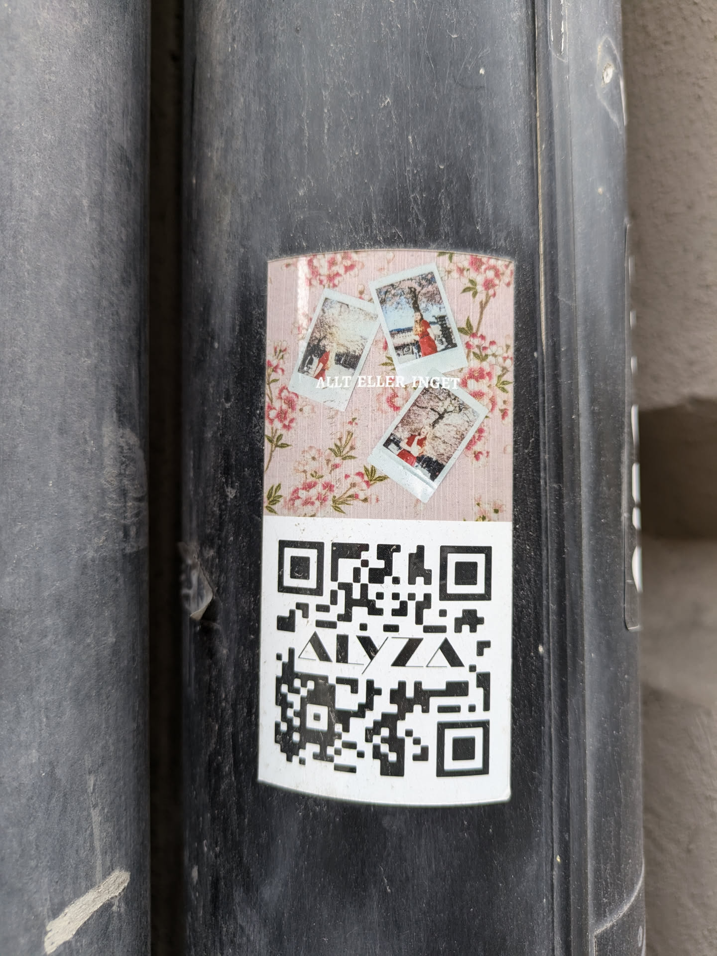 A sticker featuring three Polaroid-style photos of a person in different outfits and poses, set against a pink floral background. Below the images is a QR code. The text 'ALLYZA' is visible in the center of the QR code.