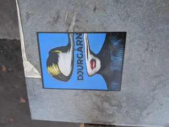 A rectangular sticker depicting a woman's face split vertically. The left side features blonde hair, while the right side shows red lips. The vertical text 'DJURGÅRN' is positioned between the two halves against a bright blue background.