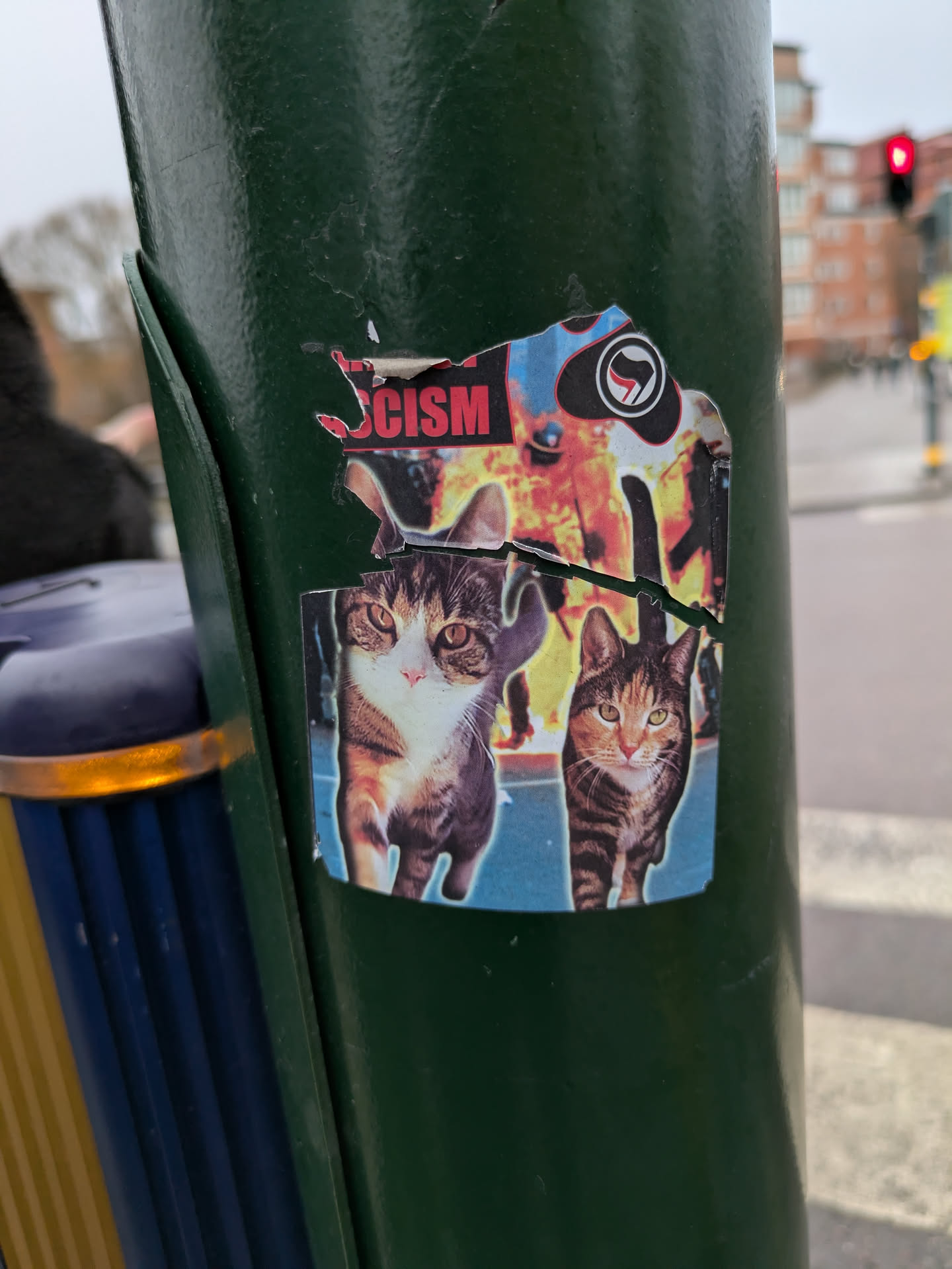 The sticker features an anti-fascist symbol above a scene of fire. Below, there are two cats. The sticker is partially torn and placed on a green pole.