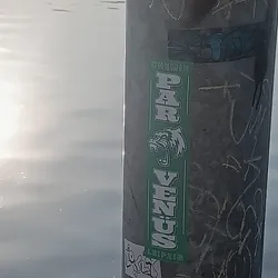 A green and white sticker with the word 'PARVENUS' vertically oriented and a logo of an animal head. The word 'CHEMIE' is written at the top and 'LEIPZIG' at the bottom. The sticker is placed on a pole next to a body of water.
