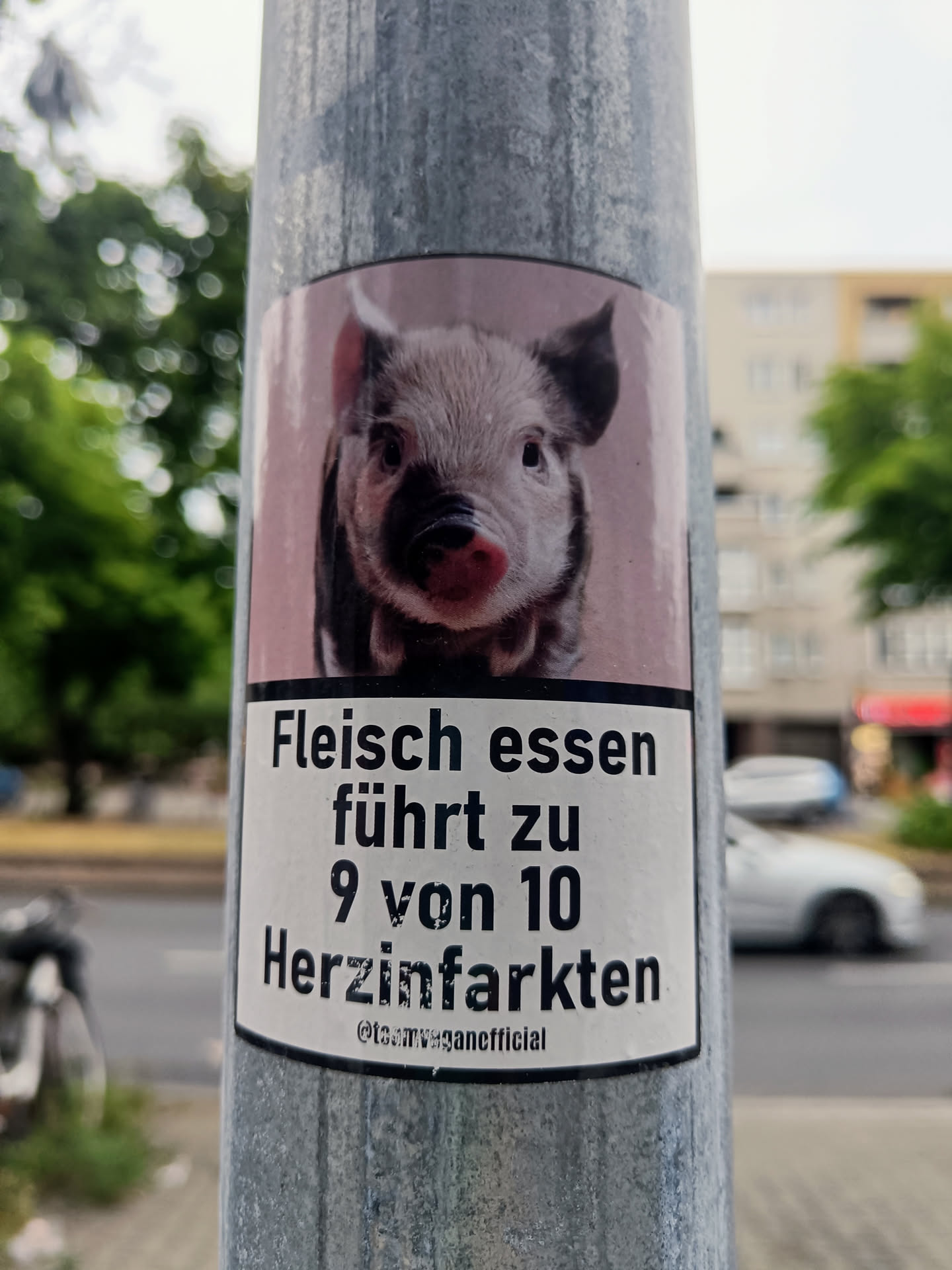 A sticker featuring a piglet and a text in German stating that eating meat leads to 9 out of 10 heart attacks.  The sticker has a light pink background and is stuck on a metal pole. The image is slightly blurry but the text is legible.