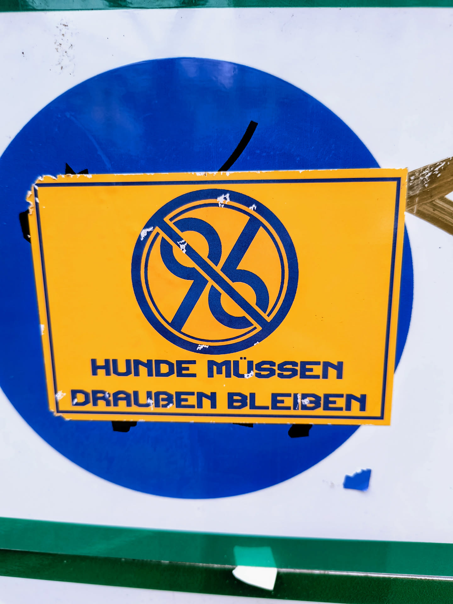 The sticker is yellow with blue accents. It features a symbol of a dog silhouette within a circle, crossed out to indicate prohibition. Below the symbol, the text reads "Hunde müssen draußen bleiben" meaning "Dogs must stay outside". It is affixed to a surface with some other sticker or paint details visible in the background.