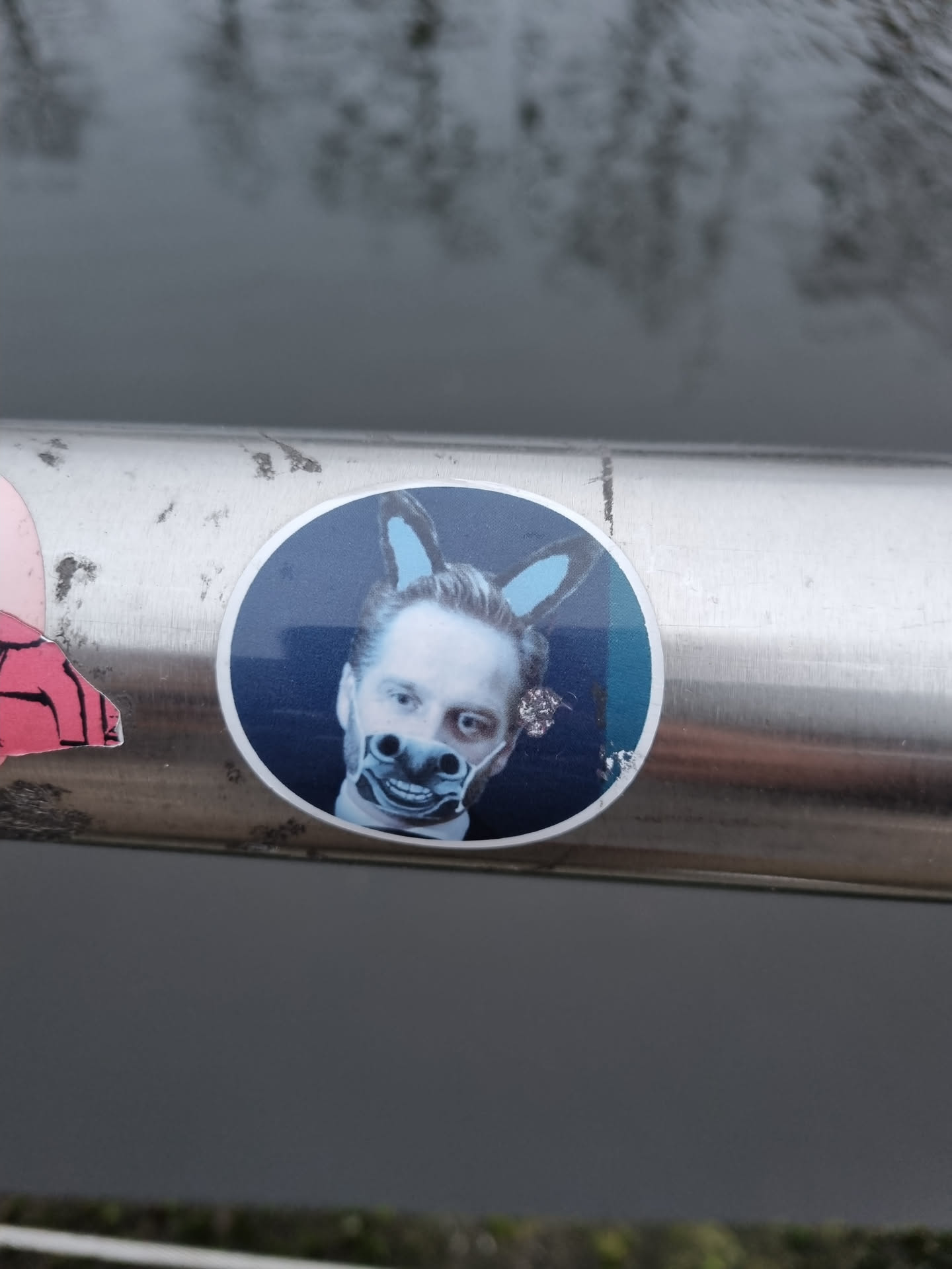 Round sticker featuring a photo of a person with light skin and short brown hair.  They are wearing what appears to be a donkey mask or filter over their face and light blue donkey ears are digitally added to the top of their head. The background of the sticker is dark blue. The sticker is affixed to a metal railing outdoors. 