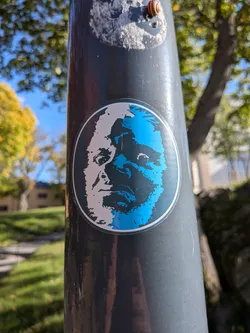 Street sticker An oval sticker adhered to a smooth metal pole. It displays a high-contrast, stencil-style graphic of a man's face with an intense gaze. The portrait is split into two color halves—white on the left and vivid light blue on the right—with heavy black ink defining the shadows and facial contours. The design is framed by a thin white border following the oval perimeter.