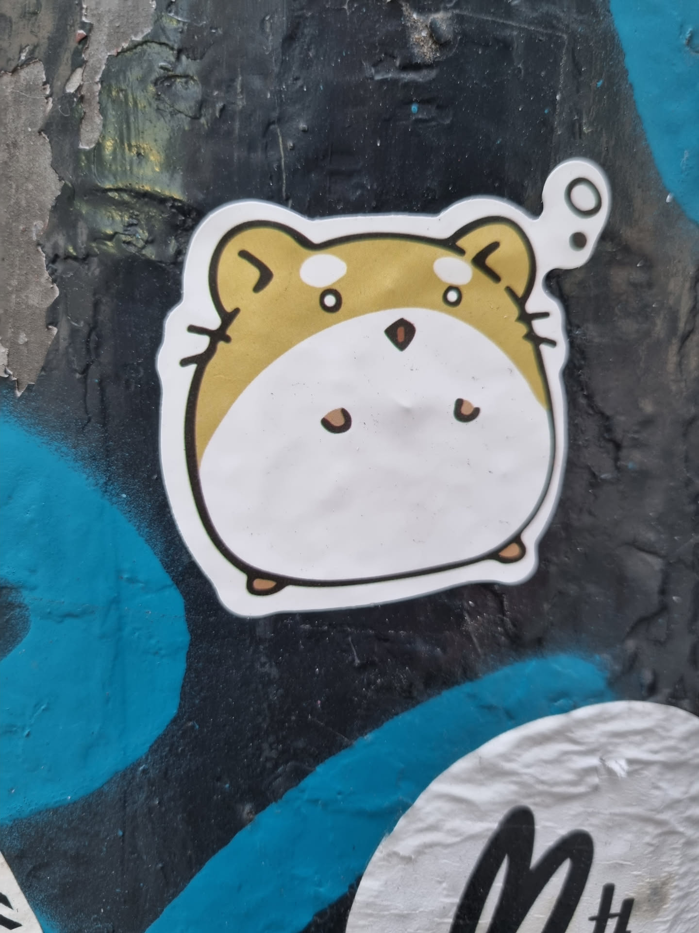 A cute, round hamster sticker with a slightly surprised expression.  The hamster is primarily white and light brown with small, dark brown details. It has a small thought bubble above it. The sticker is affixed to a wall with teal and black graffiti.