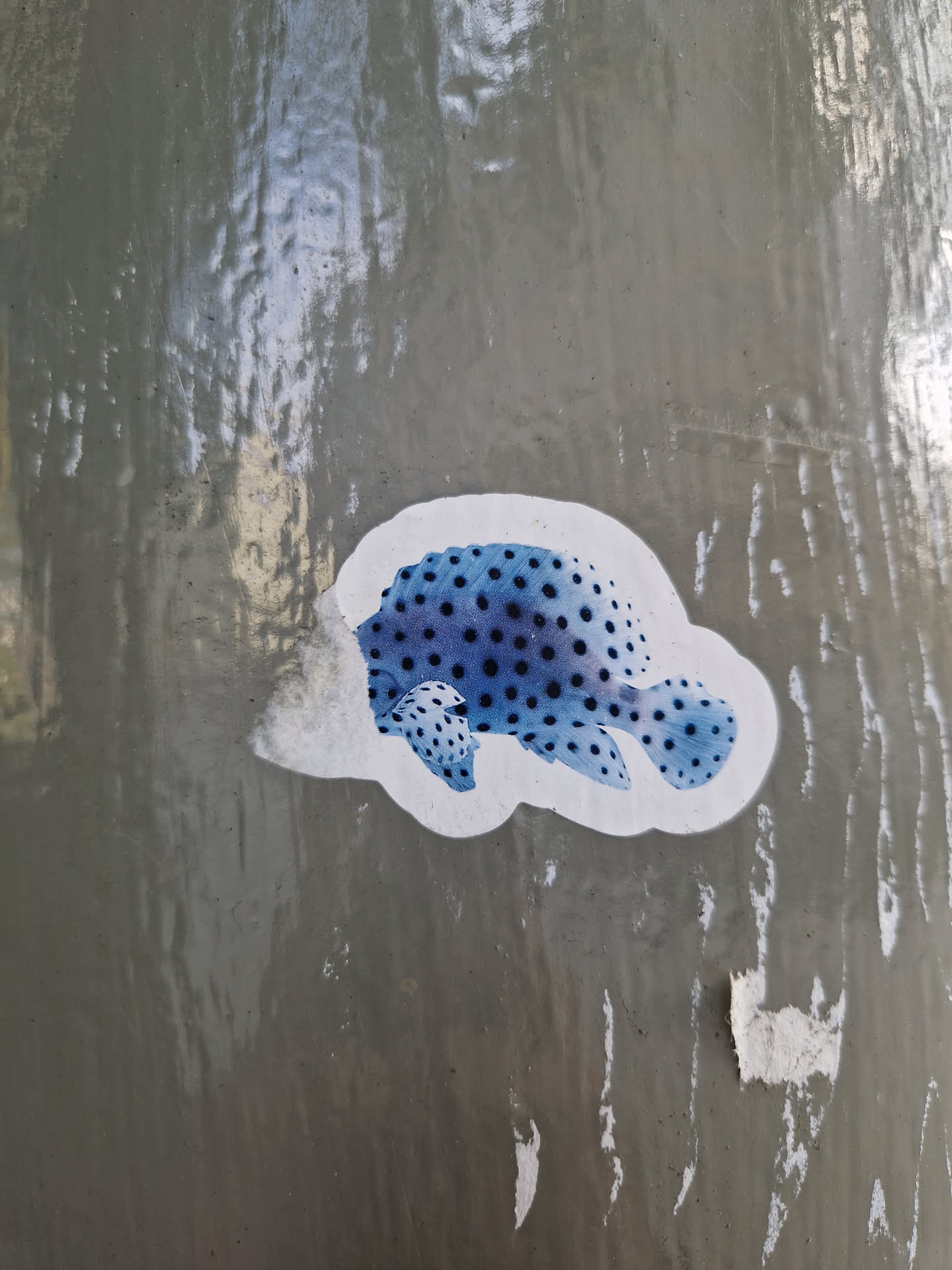 A sticker of a blue fish with black spots is stuck on a grey wall. The fish is swimming to the right. The sticker is slightly worn and creased.