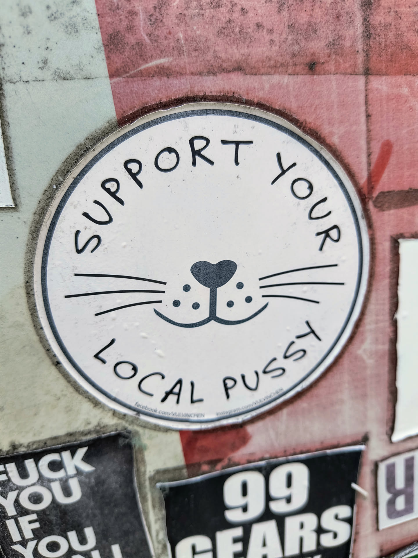 A round white sticker features a cat face graphic with the text 'SUPPORT YOUR LOCAL PUSSY' around the edge. It appears to be stuck on a wall or surface covered with other stickers.