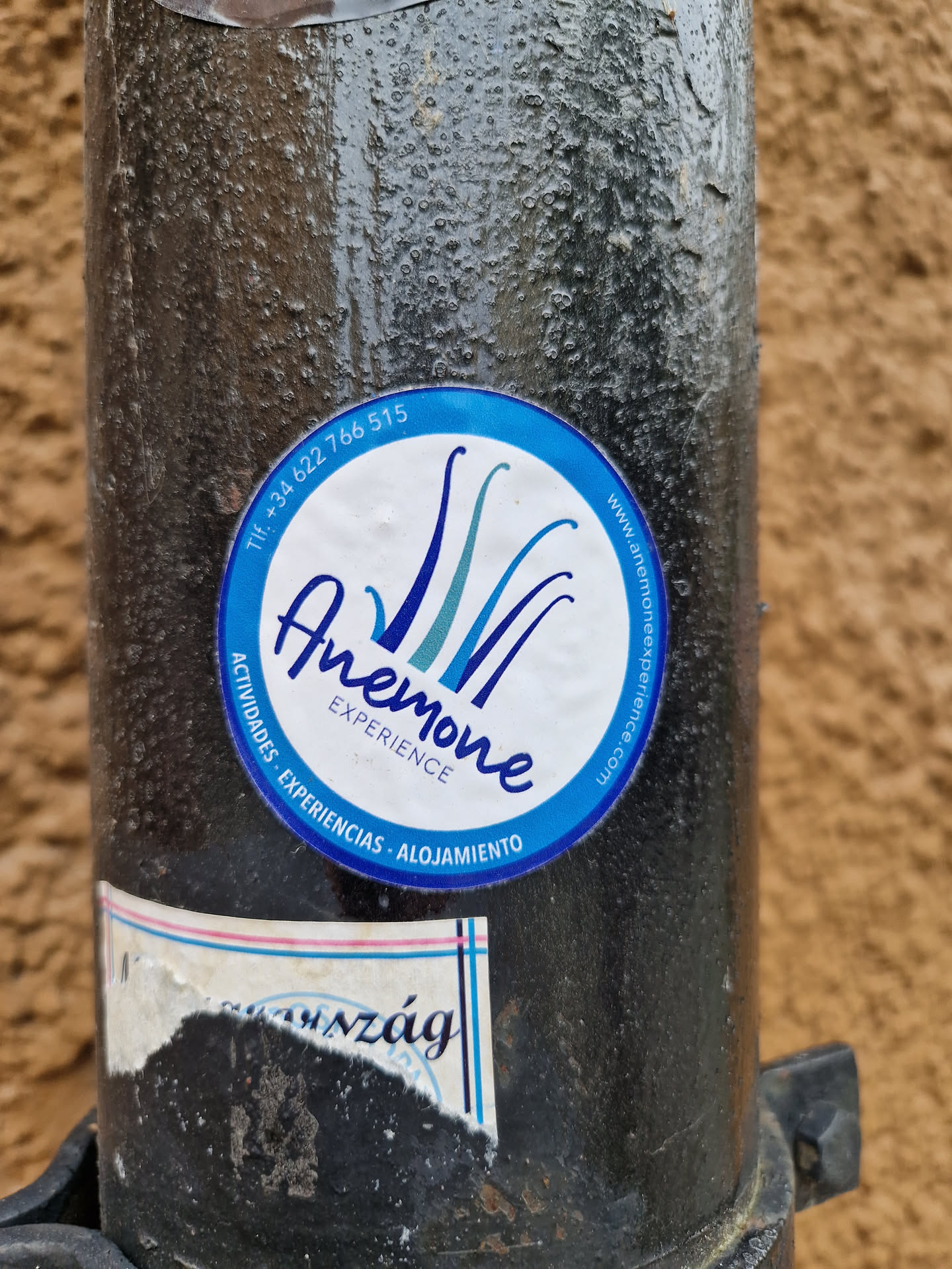 A round blue sticker with the text "Anemone Experience" and images of stylized sea anemones.  The text also indicates that they offer activities, experiences, and accommodation. A phone number (+34 622 766 515) and website (www.anemonexperience.com) are included on the sticker.