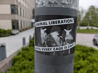 A black and white sticker on a pole features three lambs held by people in hooded robes. Text on the sticker reads "Animal Liberation" and "Until Every Cage Is Empty".