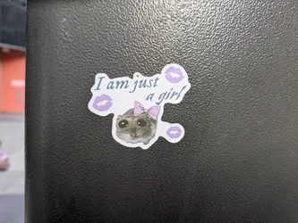 A sticker featuring a cute illustration of an animal, possibly a possum or similar creature, wearing a pink bow.  The text "I am just a girl" is written above the animal, accompanied by small purple lip prints.