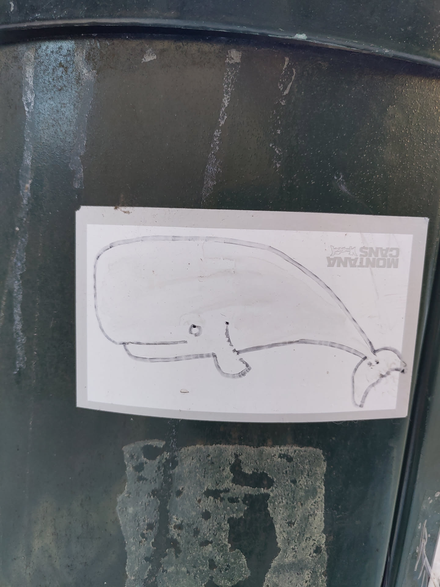 Hand-drawn whale sticker on a dark green bin. The sticker is rectangular with rounded corners and features a simple line drawing of a whale.  Text on the sticker reads "MONTANA CANS".