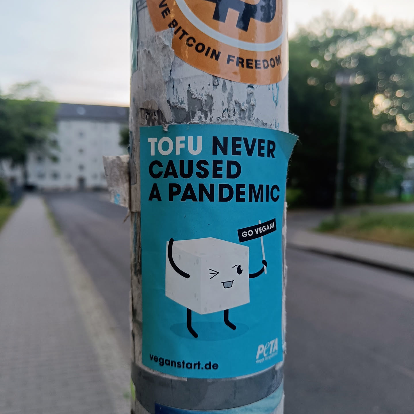 A sticker featuring a cute tofu character holding a sign saying "Go Vegan!" The sticker promotes veganism with a humorous message.