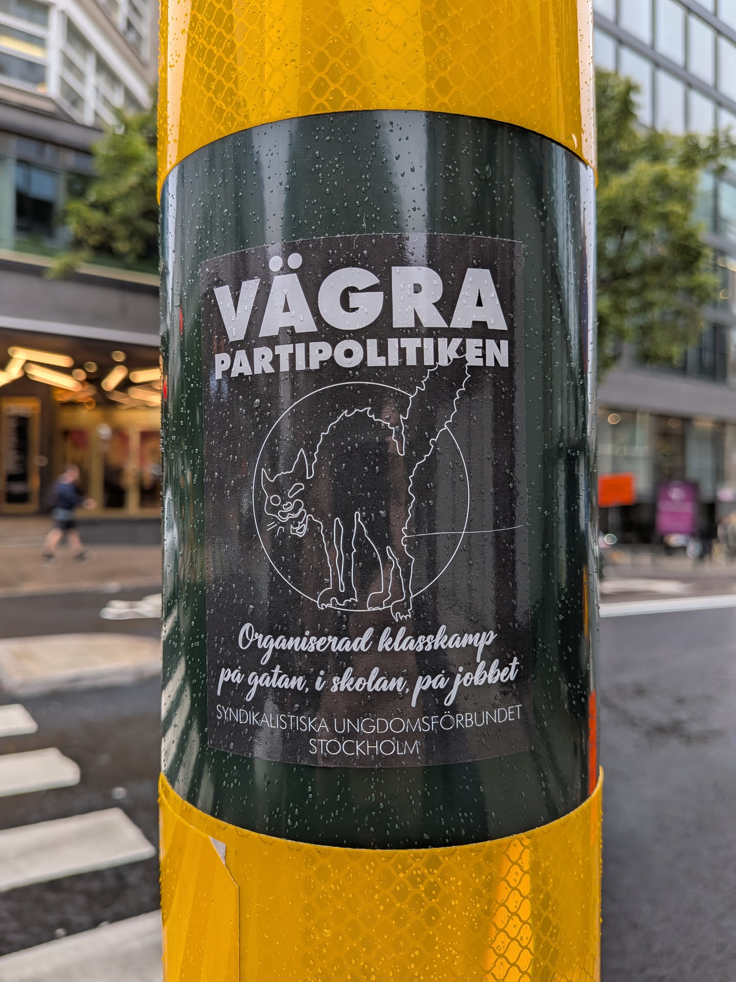 A rectangular black sticker with white print, affixed to a wet green pole. The top text reads 'VÄGRA PARTIPOLITIKEN' in bold block letters. Below this is a white line drawing of an arched-back black cat (Sabo-tabby) inside a circle. Under the graphic, cursive text reads 'Organiserad klasskamp på gatan, i skolan, på jobbet'. The bottom line of text reads 'SYNDIKALISTISKA UNGDOMSFÖRBUNDET STOCKHOLM' in a small sans-serif font.