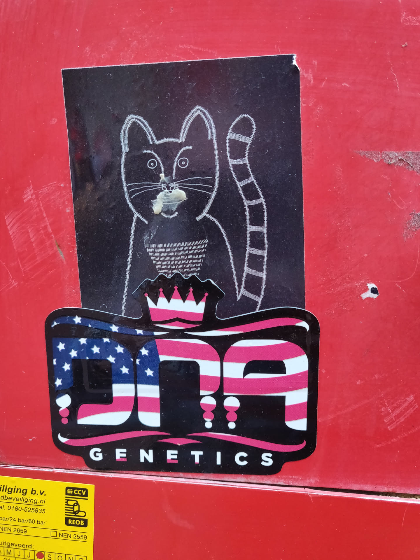 A sticker featuring the logo of DNA Genetics. The logo is designed with an American flag theme and includes a cartoon cat with a crown above it. The cat appears to be holding something in its mouth.