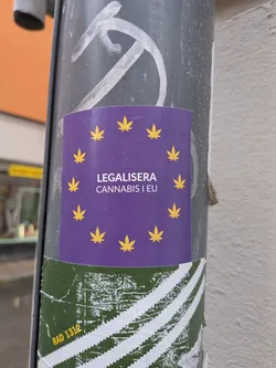A square-shaped sticker with a deep purple background, featuring twelve yellow cannabis leaves arranged in a circle, mimicking the stars of the European Union flag. In the center, white text reads 'LEGALISERA CANNABIS I EU'. The sticker appears slightly wet with visible water droplets on its surface and is affixed to a grey pole.
