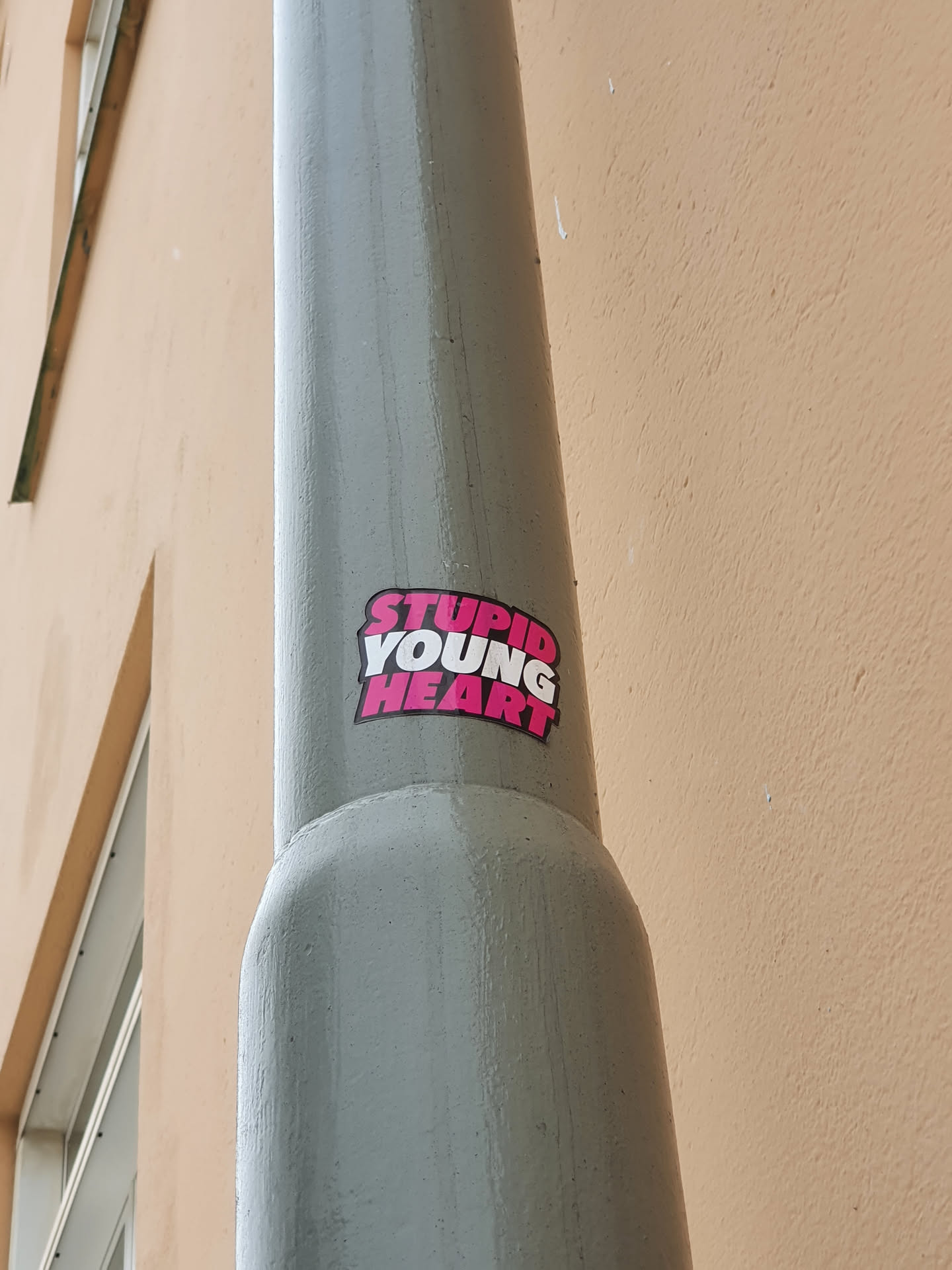 A sticker with the text "STUPID YOUNG HEART" in pink lettering on a white background, affixed to a grey pipe on a building. The text is stylized with a bold font.