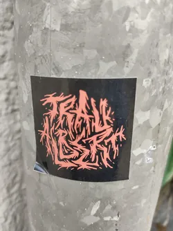 A sticker with the word "TRAILHEAD" written in a stylized font. The font is reminiscent of metal band logos or graffiti art.  The text is salmon pink against a black background. The sticker is affixed to a gray metal pole.