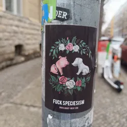 Dark-colored sticker with an illustration of a pig and a dog in a floral arrangement. The text 'FUCK SPECIESISM' is prominently displayed, along with a website address: www.about-meat.com. The style is graphic and bold.