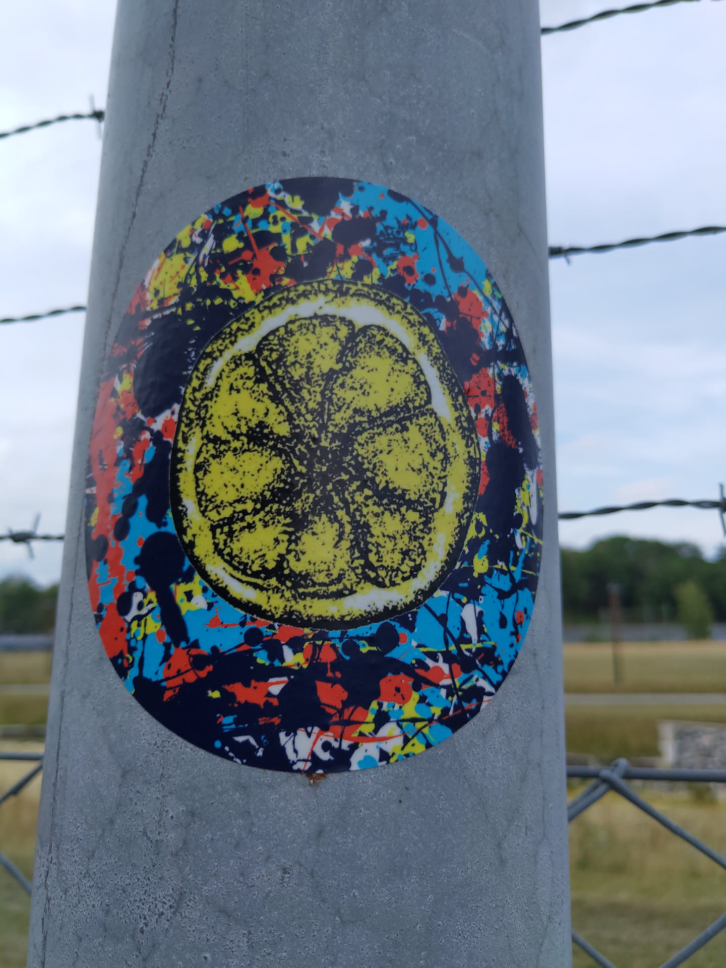 This round sticker showcases a detailed image of a lemon slice against a backdrop of colorful, splatter-paint-like markings in blue, red, yellow, and black. The sticker is affixed to a gray metal pole.