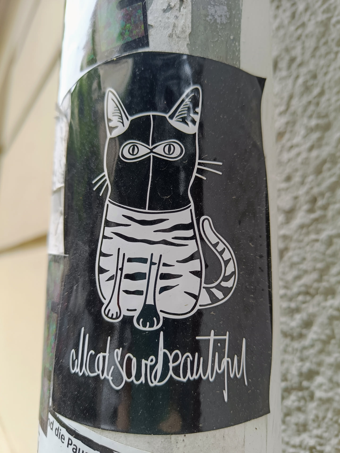 Black and white sticker featuring a stylized illustration of a cat wearing what looks like a mask or balaclava. The cat is depicted sitting down, and the sticker has the text "all cats are beautiful" written at the bottom.