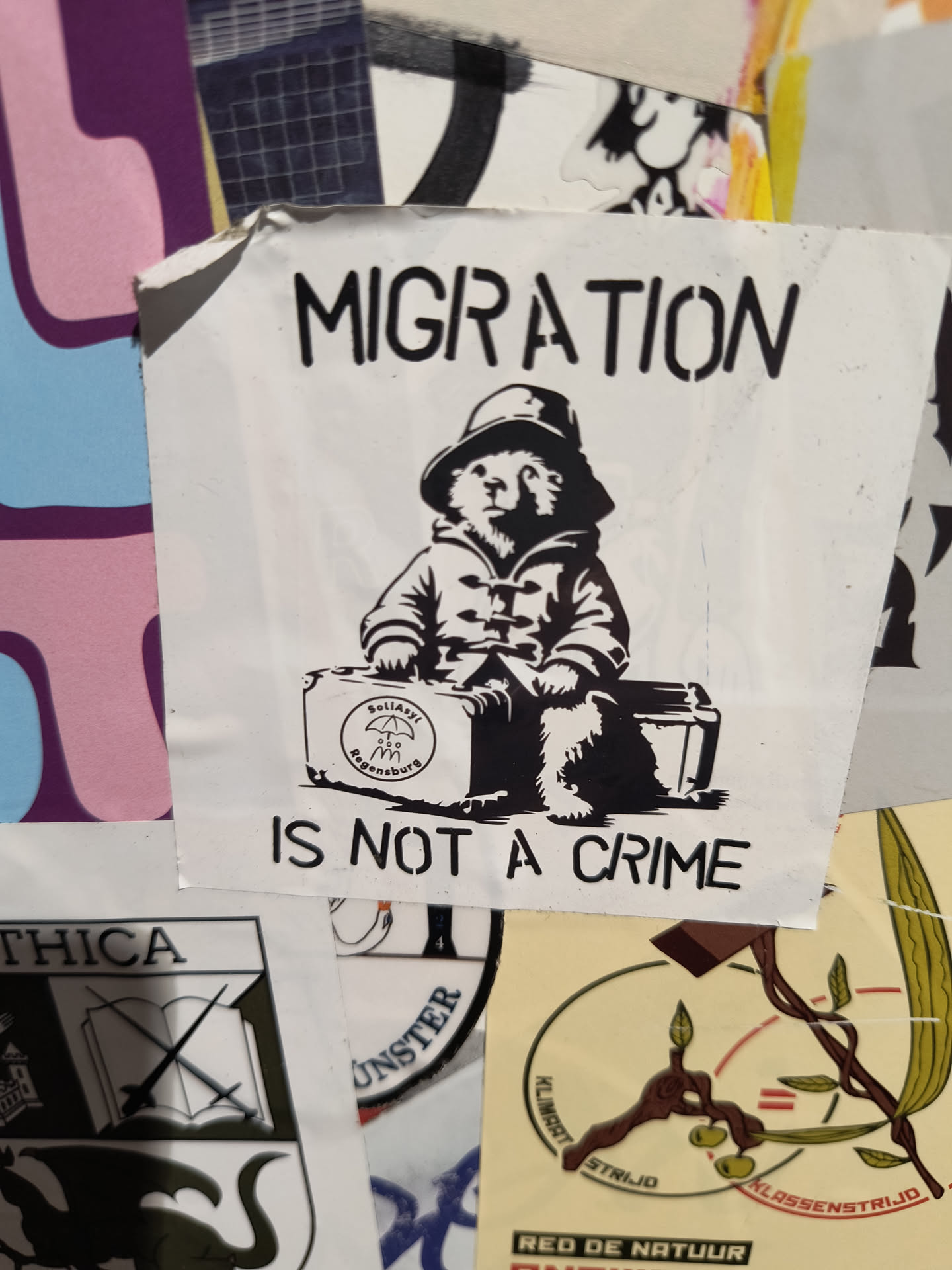 The sticker is predominantly white with black stencil-style artwork. At its center is an illustration of a bear, resembling Paddington Bear, wearing a hat and a duffle coat. The bear is sitting on a suitcase. The suitcase has a circular emblem with an umbrella and the text 'SoliAsyl Regensburg'. Below the bear and suitcase, the text 'MIGRATION IS NOT A CRIME' is printed in large, stencil-like black letters. The sticker appears to be adhered to a surface among other stickers and paper pieces.