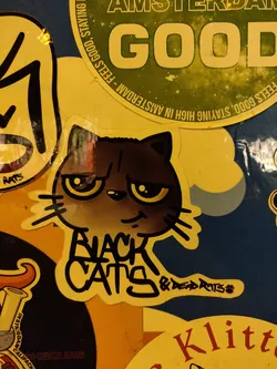 A sticker featuring a cartoon black cat with big yellow eyes. The text 'Black Cats' is written below the cat, with '& Dead Rats' written smaller underneath. The art style is graffiti-like and playful.