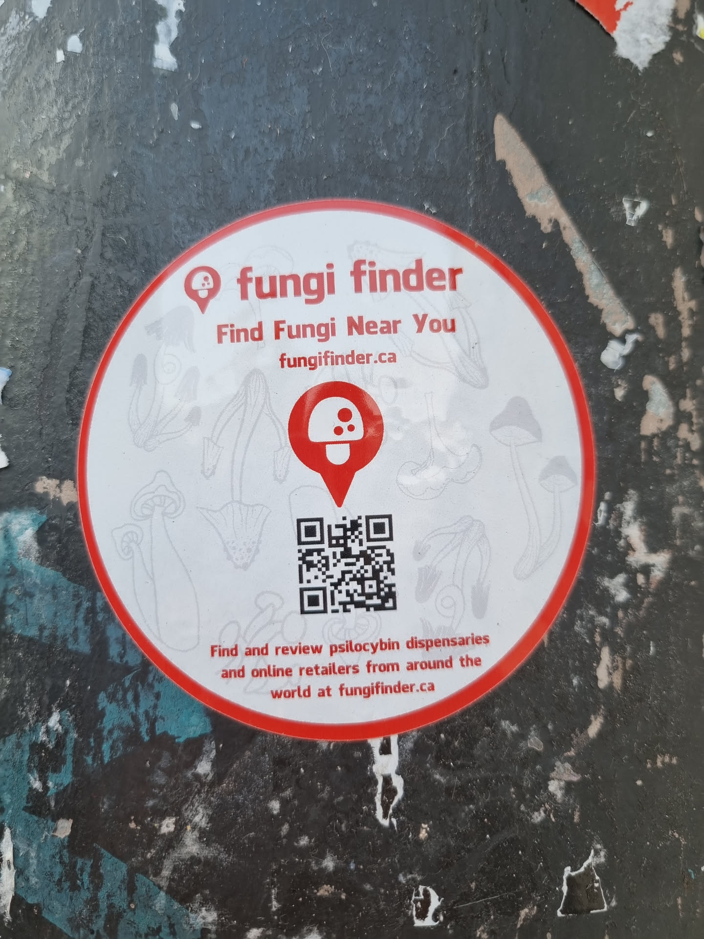 This sticker advertises Fungi Finder, a website to find and review psilocybin dispensaries and online retailers worldwide.  It features a QR code linking to the website and illustrations of various mushrooms.