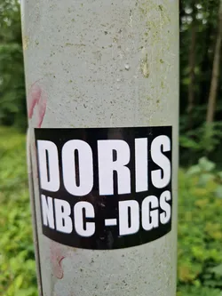 A black sticker with white text on a grey pole. The text says "DORIS NBC-DGS".
