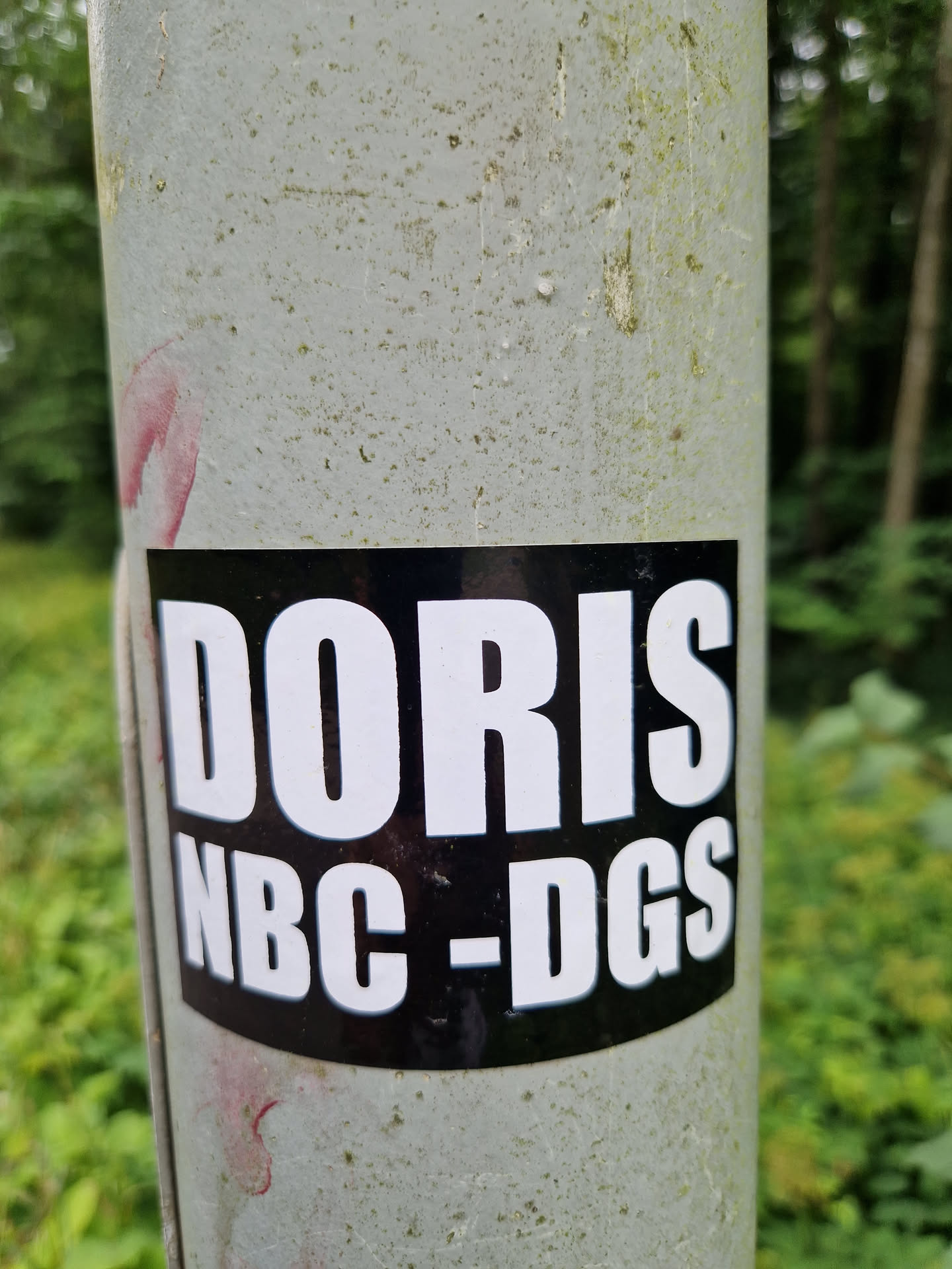 A black sticker with white text on a grey pole. The text says "DORIS NBC-DGS".