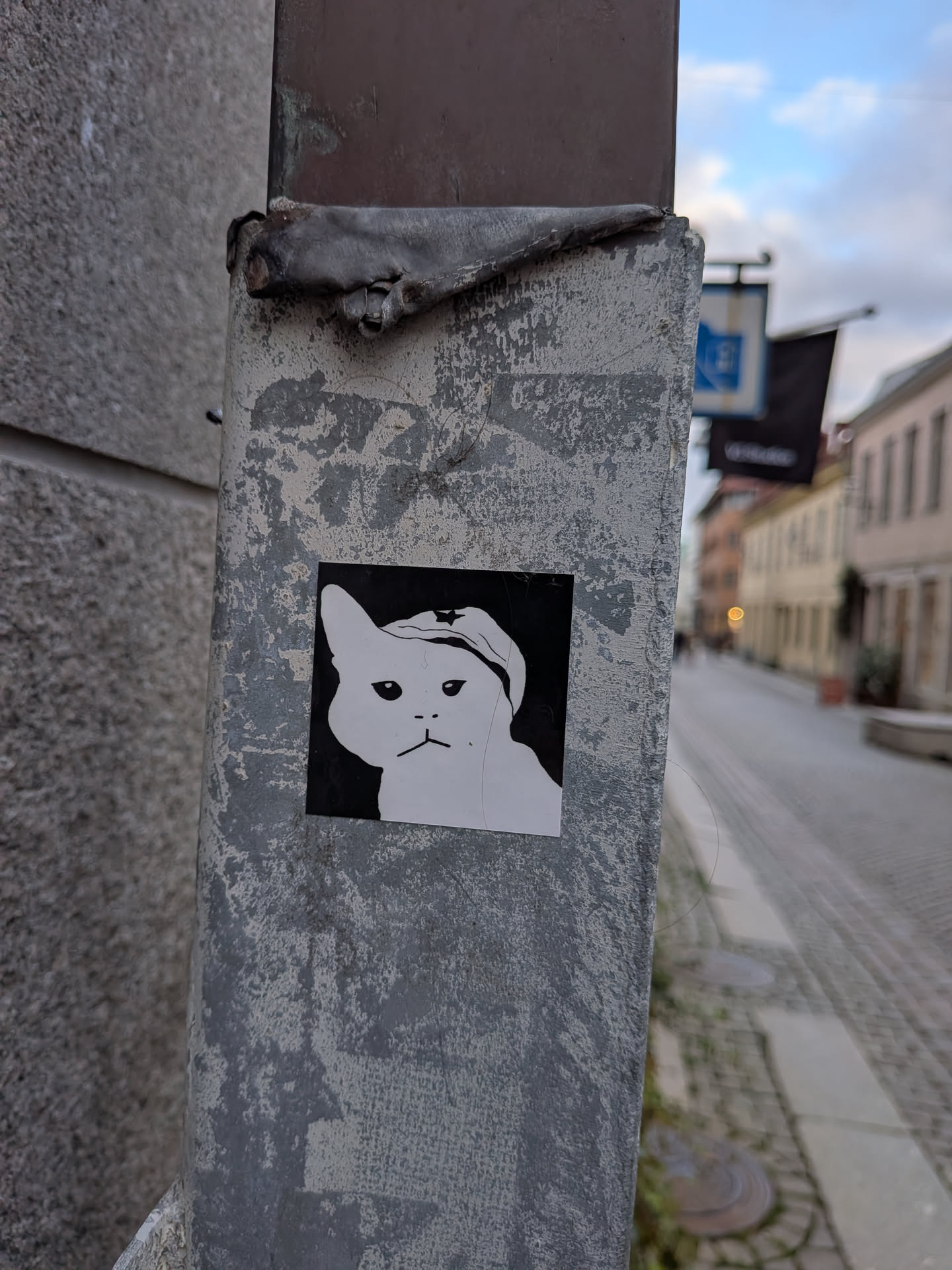 The sticker is square and features a black and white illustration of a cat's head. The cat has a distinctly unimpressed expression with downturned eyes and a small, straight mouth. It is wearing a hat that appears to be a beanie or a cap, adorned with a small star on the front. The background of the sticker is solid black, making the white cat stand out prominently. The sticker is affixed to a weathered, grey metal pole.
