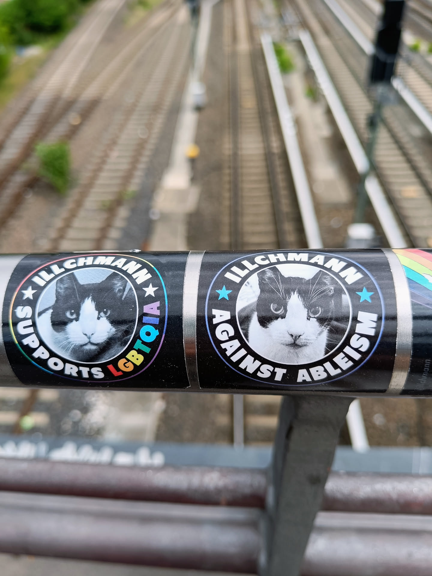 Two stickers featuring a cat and advocating for LGBTQIA+ rights and against ableism.
