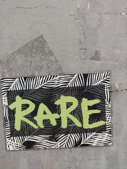 A sticker with a black and white palm leaf pattern and the word "RARE" written in light green paint.